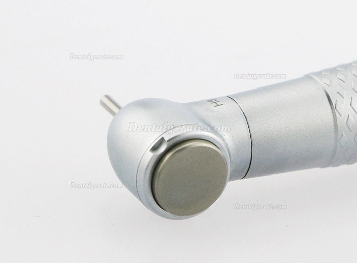 YUSENDENT&reg; CX207-GW-PQ Zahnarzt LED Glasfaser Handst&uuml;ck W&H Kompatibel (Mit Koppler x1 + Ohne Koppler x2)